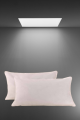 Unveiling the Ultimate Comfort with Compressed Pillow Fillings Pack of 2. 