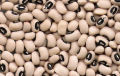 White Kidney Beans 1 Kg. 
