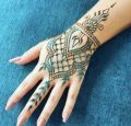 1 Glitter Mehndi cone available in different 8 colours. 