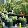 【HOT】 Universal Luminous Elf Ornament Micro Landscape Glowing Alien Small Ornament Miniature Doll For Garden Fish Tank Landscape Props. 