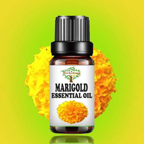 Marigold Essential Oil - 100% Pure & Natural For Diffuser Aromatherapy and Candle Scent