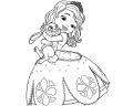 Coloring Books Sofia the first Cartoon Coloring & painting Activity For Kids (Pack of Two). 