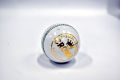Cricket Hard Ball White Brand Crown 1 PC. 