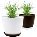 Elevate Your Space with Fast Forward Extra Large Plant Pots: Two Vibrant Colors, Drainage, Perfect for Indoor Planters - Explore Multi-Packs for Plastic Planters, Cactus, and Succulents Decor. 