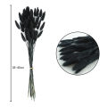 100pcs Natural Black Bunny Tails Dried Flowers Farmhouse Flower Arrangements,Lagurus Ovatus,Pampas Grass Decor for Wedding Craft. 