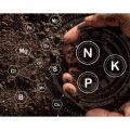 N.P.K 20-20-20 Nitrogen, Phosphorus, Potassium Fertilizer 500gm- Important for Plants Growth Very Useful for Plants to Produce More Flowers, Fruits and Growth. 