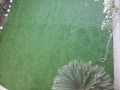 Synthetic Artificial Grass 20MM Green / grass matt / artifical grass 20mm. 
