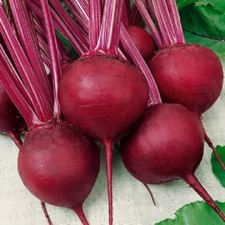 Beet%20Root%20(Chikandar/%DA%86%DA%A9%D9%86%D8%AF%D8%B1)%20OP%20Seeds%20-%20Image%203