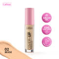 Callista Cover-Up Concealer 60 Beige. 