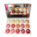 15 in 1 Professional all In Blusher Highlighter Make up Blush Kit. 