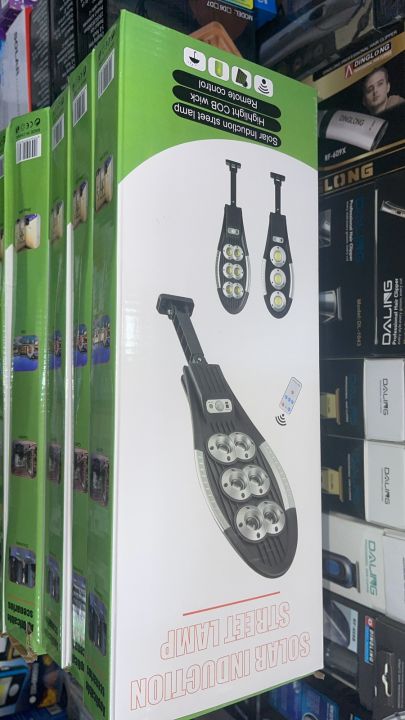 Solar%20Induction%20Street%20Lamp%20-%20Image%203