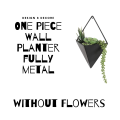 Indoor Wall Planter and Wooden Wall Display Shelves with Black Metal Frames Metal. 