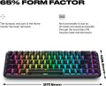 FNATIC STREAK65 - Compact RGB 60 Gaming Mechanical Keyboard - Speed Switches - 65% Layout (60 65 Percent)- Low Profile - Esports Keyboard (US Layout, QWERTY). 