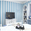 27 Foot Room Wall Line Sticker Wallpaper For room  Decor. 