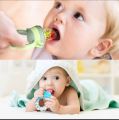 Baby fruit pacifier - fruit and vegetable feeding pacifier - fruit feeder - fruit choosni. 