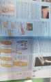Moore’s Clinically Oriented Anatomy 9th Edition KLM Anatomy colour Book. 