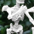 Ethereon Poseable Skeleton Model Spooky Halloween Skeleton Figurine with Movable Joints Perfect Home Office Desktop Decoration for Halloween Skeleton Decoration. 