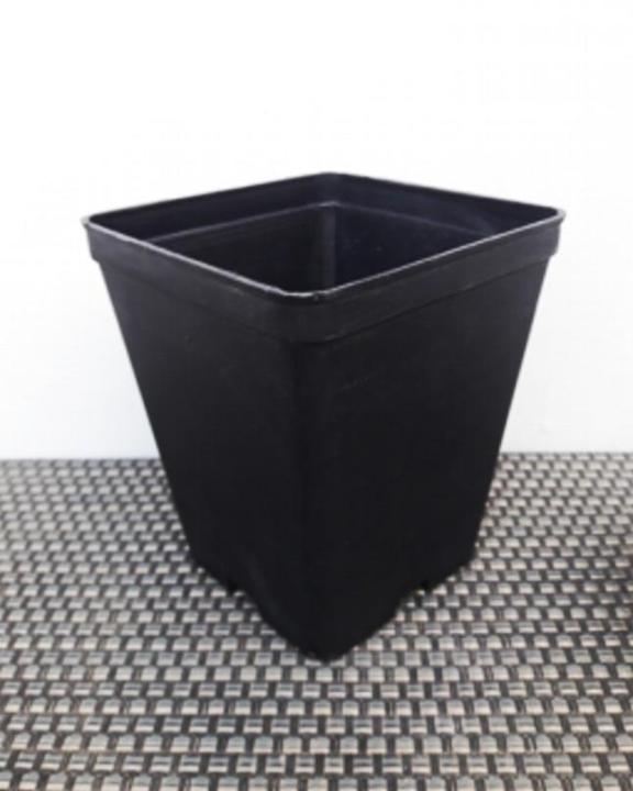 12%20Pcs%20Big%20Succulent%20Cactus%20Seedling%20Pots%204%20x%204.75inch%20-%20Image%204