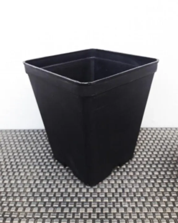 12%20Pcs%20Big%20Succulent%20Cactus%20Seedling%20Pots%204%20x%204.75inch%20-%20Image%204