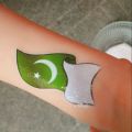Patriotic Pakistan Stickers Sheet, 14th August Celebration Stickers, 14 August face stickers, Pakistan Flag stickers for Face, Azadi day stickers, Azadi stickers, 14 August stickers, Independence day stickers, National symbols stickers, Hand Face Stickers. 
