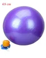 65 cm  Gym Ball - exercise ball - yoga ball fitness ball 65cm Purple. 