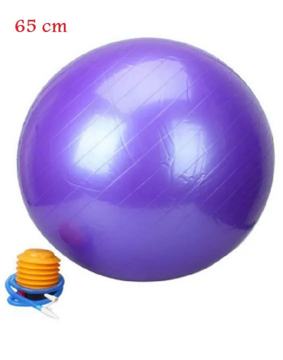 65 cm  Gym Ball - exercise ball - yoga ball fitness ball 65cm Purple