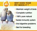 BOLTZ Bird Food for Budgies - Mix Seeds 1KG (Budgies Food 1KG). 