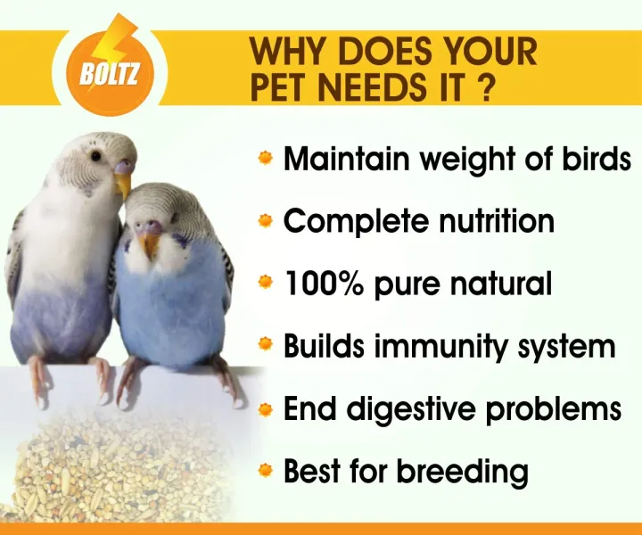 BOLTZ%20Bird%20Food%20for%20Budgies%20-%20Mix%20Seeds%201KG%20(Budgies%20Food%201KG)%20-%20Image%202