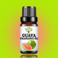 Guava Fragrance Oil 10 ML - Candle Making Scent - Handmade Soap - Home Diffuser Aromatherapy Oil. 
