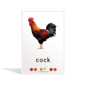 Farm & Pets Flash Cards - 8004. 