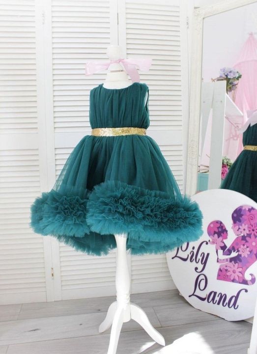 Child%20Hub%20Baby%20Girl%201%20to%2018%20Sea%20Green%20Lace%20Decorated%20Silk%20and%20Net%20Frock%20Birthday%20Dress%20Sea%20Green%20Lace%20Decorated%20Silk%20and%20Net%20Frock%20Party%20Dress%20Weeding%20Dress%20WPWW714%20-%20Image%203