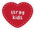 10 Pcs Stray Kids Kpop Band Stickers Pack For Laptop, Desk, Notebook and Mobiles Covers DIY Stickers - JangoMango Store. 
