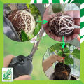 Reusable Air Layering Ball/Cup air layering box , grafting cup ,rooting box for gardening Reusable Garden Plant Root Growing ball  air Layering cup Plants Rooting Device High-Pressure Propagation Cutting Rooter Sapling Ball. 