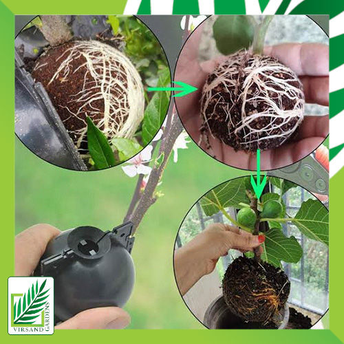 Reusable Air Layering Ball/Cup air layering box , grafting cup ,rooting box for gardening Reusable Garden Plant Root Growing ball  air Layering cup Plants Rooting Device High-Pressure Propagation Cutting Rooter Sapling Ball