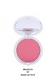 Gabrini Professional Blush On. 