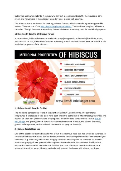 SK%20ORGANIC%20Hibiscus%20powder%20For%20Hair%20Fall%20And%20Growth%20150g%20-%20Image%206