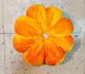 Velvet Round Throw Pillow Cushion Decorative for Home Chair Bed Car Convenient | Flower Velvet Round Cushion. 
