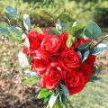 Artificial Rose Flower Red Silk Roses Pack of 10 (Red). 