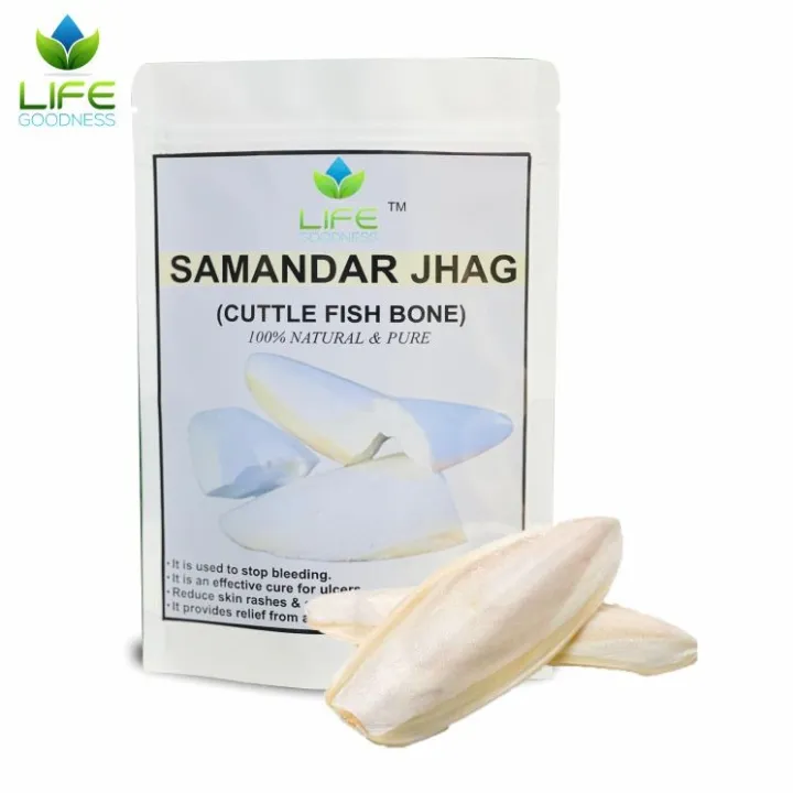 Samandar%20Jhag%20%7C%20Seafoam%20Samundar%20Fan%20%7C%20100%20%25%20Pure%20organic%20CuttleFish%20-%20Image%205