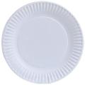 Nicole Home Collection 100 Count Everyday Dinnerware Paper Plate, 9-Inch, White. 