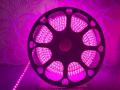 Purple Flexible Rope Led Strip light Water Proof and multiple sizes to choose for indoor and outdoor use long life bulbs rope lights. 