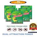 Pack Of 5 Expert Sticky Board Catch Rat Glue Traps - Mice/Rodent/Mouse/Lizard/Spider/Cockroach Professional Strength Glue Trap - Mouse Book - Pest Control. 