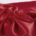 Silk Satin Cushion Cover | Silk cushion cover for Hair Skin ( 16x23 ). 