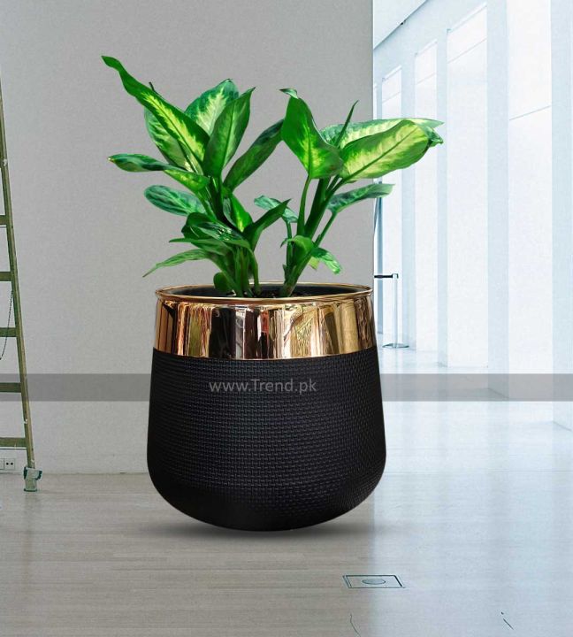 Black Fiber Plastic Flower Pot & Planter with Golden Border