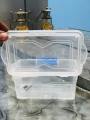 Multipurpose Plastic Storage small box for jewellery - food Length 6" width 3.5" depth 2.5". 