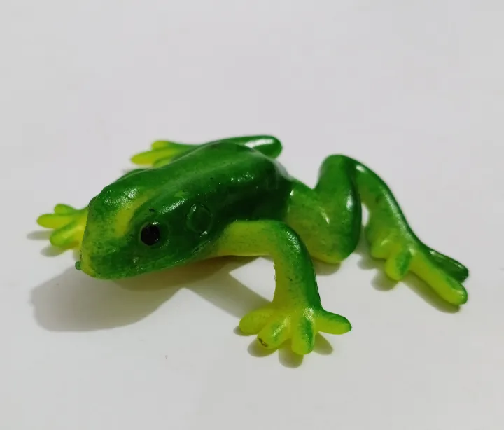 Soft%20Rubber%20Frog%20Toy%20%E2%80%93%20Realistic%20Frog%20Model%20for%20Pranks,%20Kids%20&%20Decoration%20%7C%20Flexible%20&%20Washable%20%7C%20Approx.%205%E2%80%936%20Inches%20-%20Image%204