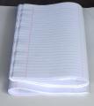 Premier pages urdu lines with margen 48 pages. 