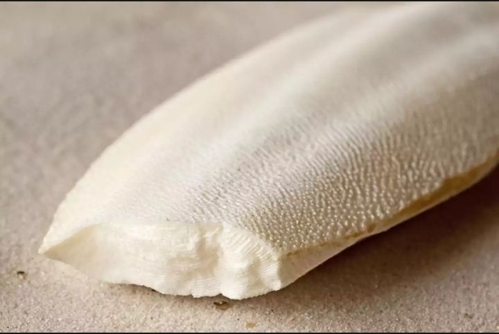 100 GRAMS CUTTLEBONE JHAG samandari jhaag samundari jhag CALCIUM FOR budgies fisher and love birds
