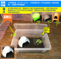 Green Gold Butterfly Bullfrog Horn Frog Package Breeding Box Professional Special Reptile Breeding Box Sponge Frog Mud. 