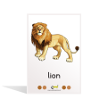 WILD ANIMALS (ANIMATED) FLASH CARDS - 8014. 